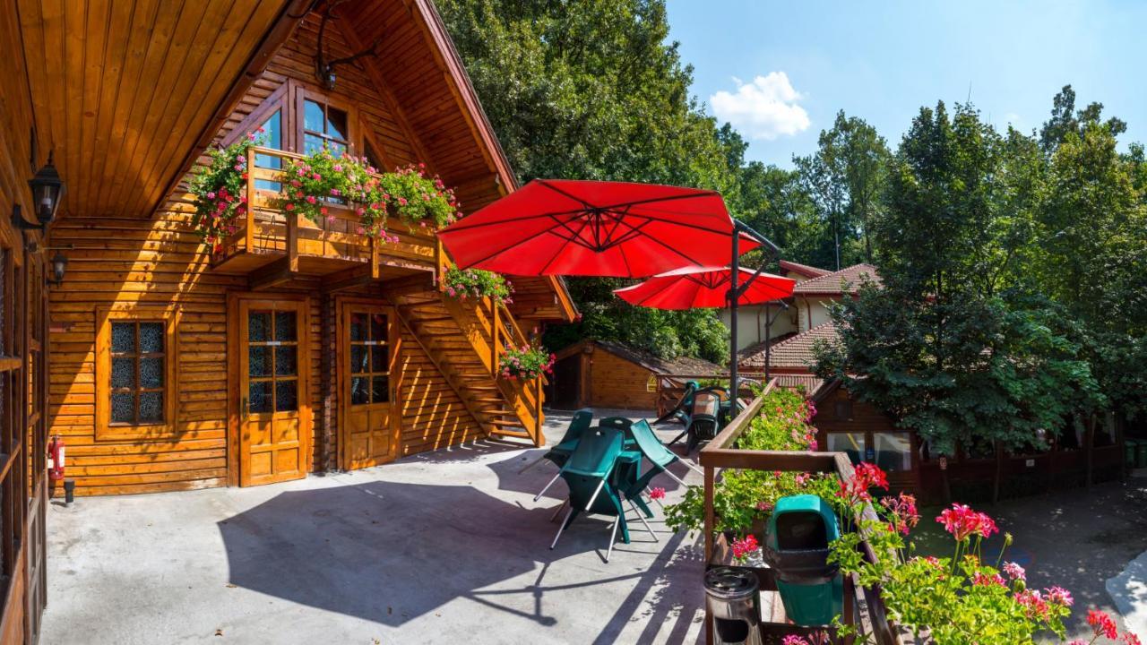 Pensiune Pensiunea Casa 3*